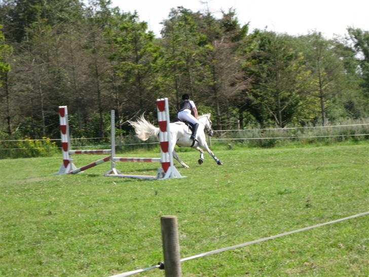 Søborggård Ridelejr Uge 32 billede 24