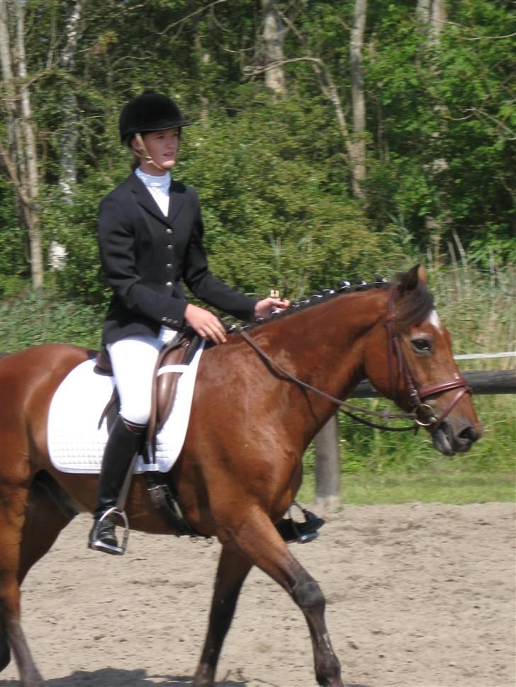 Søborggård Ridelejr Uge 32 billede 25