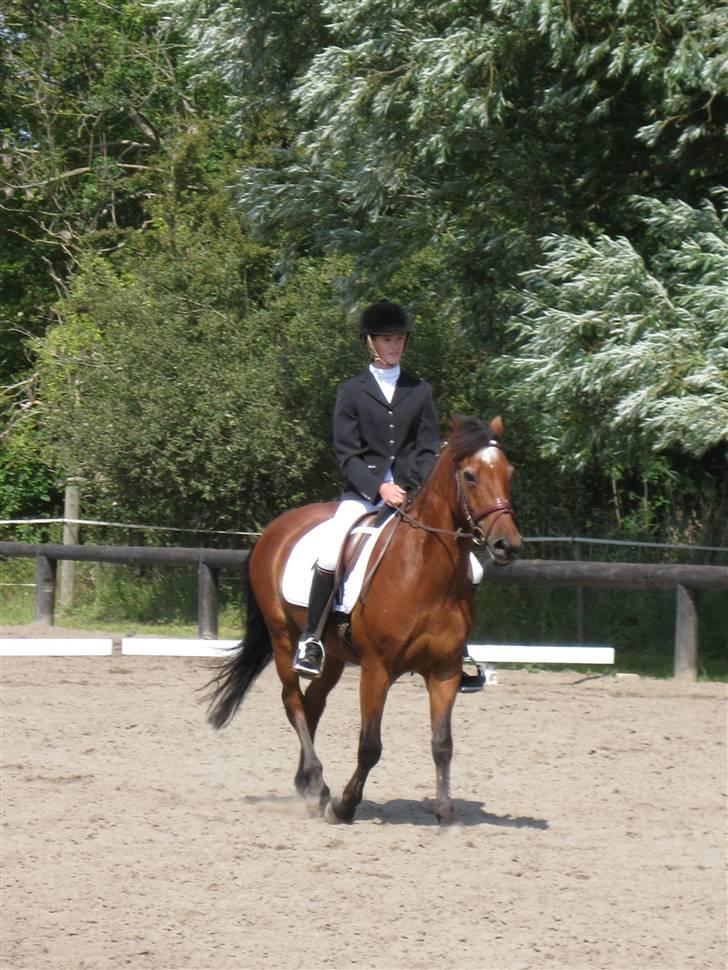 Søborggård Ridelejr Uge 32 billede 26