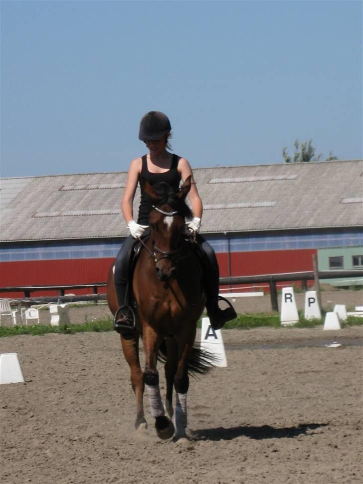 Søborggård Ridelejr Uge 32 billede 29