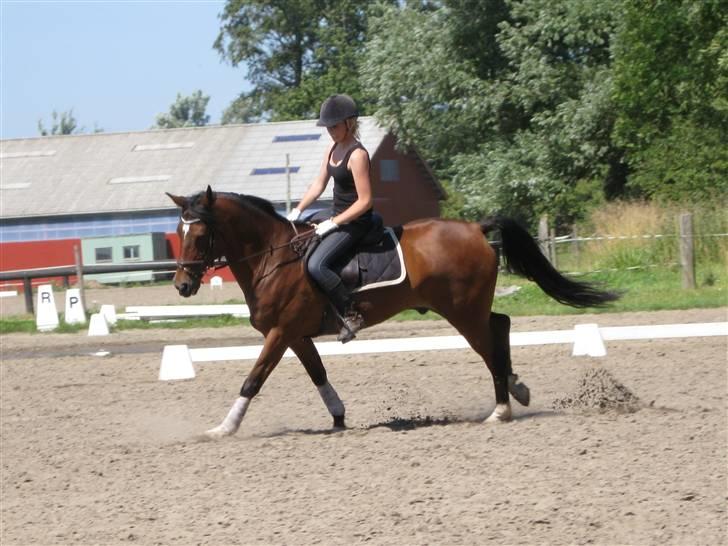 Søborggård Ridelejr Uge 32 billede 30