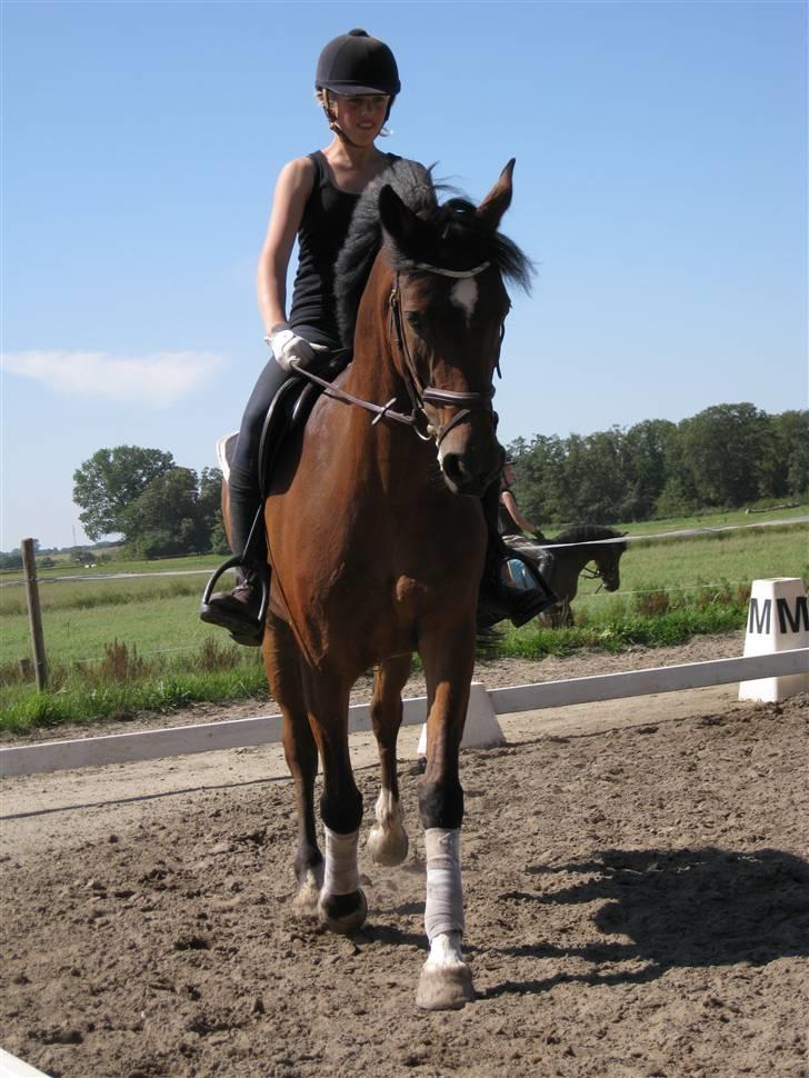 Søborggård Ridelejr Uge 32 billede 31