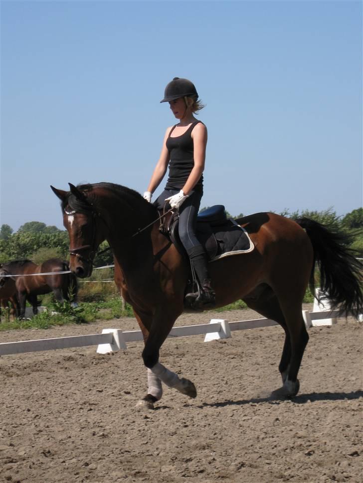 Søborggård Ridelejr Uge 32 billede 32