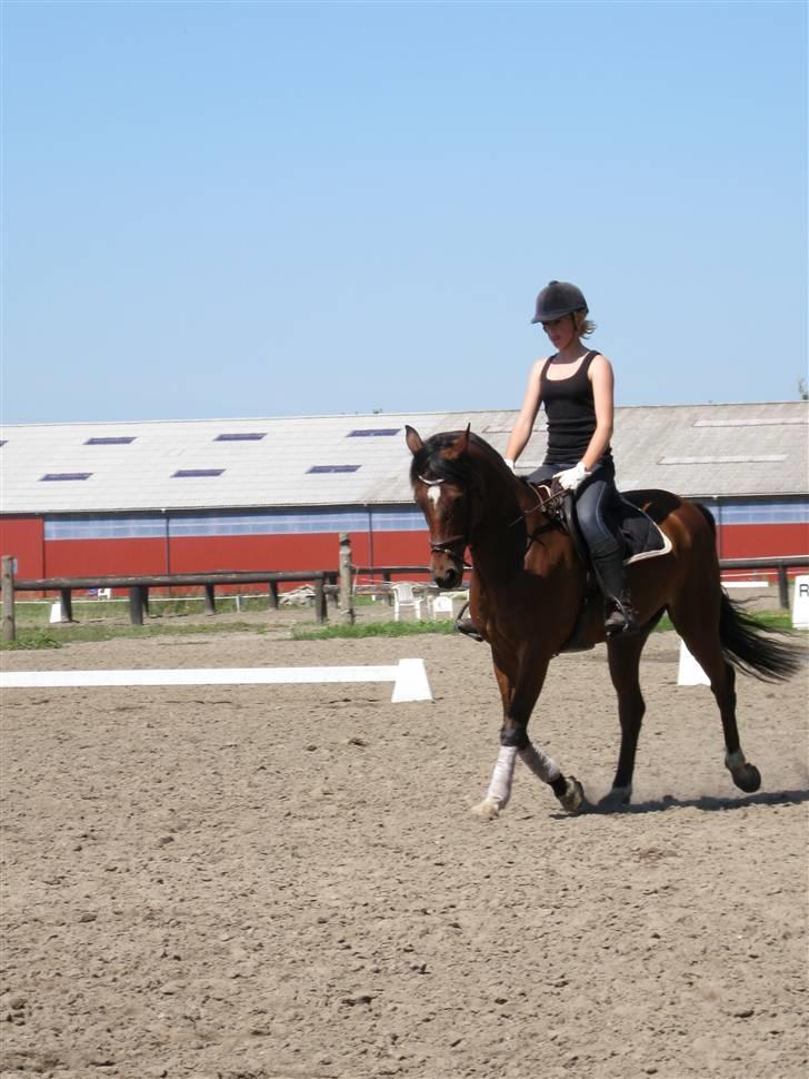 Søborggård Ridelejr Uge 32 billede 33