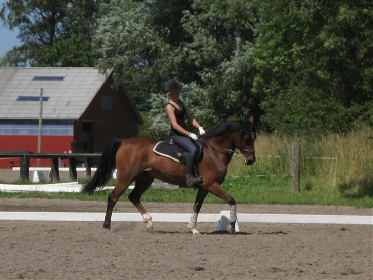 Søborggård Ridelejr Uge 32 billede 34