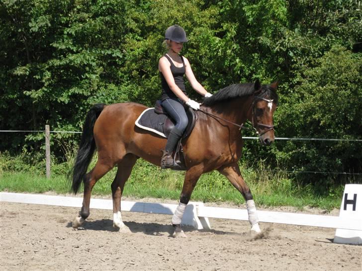 Søborggård Ridelejr Uge 32 billede 35