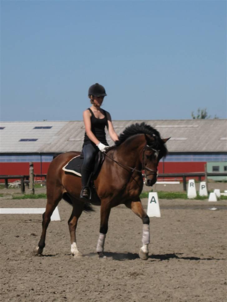 Søborggård Ridelejr Uge 32 billede 36