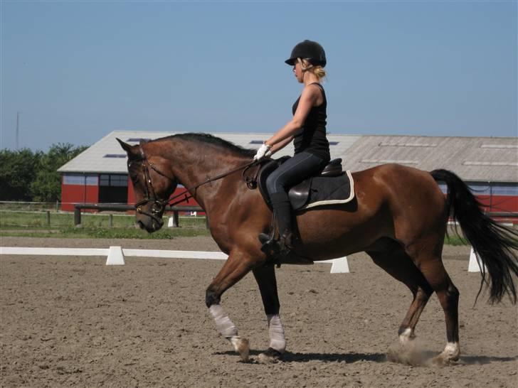 Søborggård Ridelejr Uge 32 billede 37