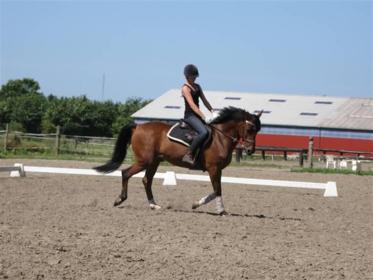 Søborggård Ridelejr Uge 32 billede 38