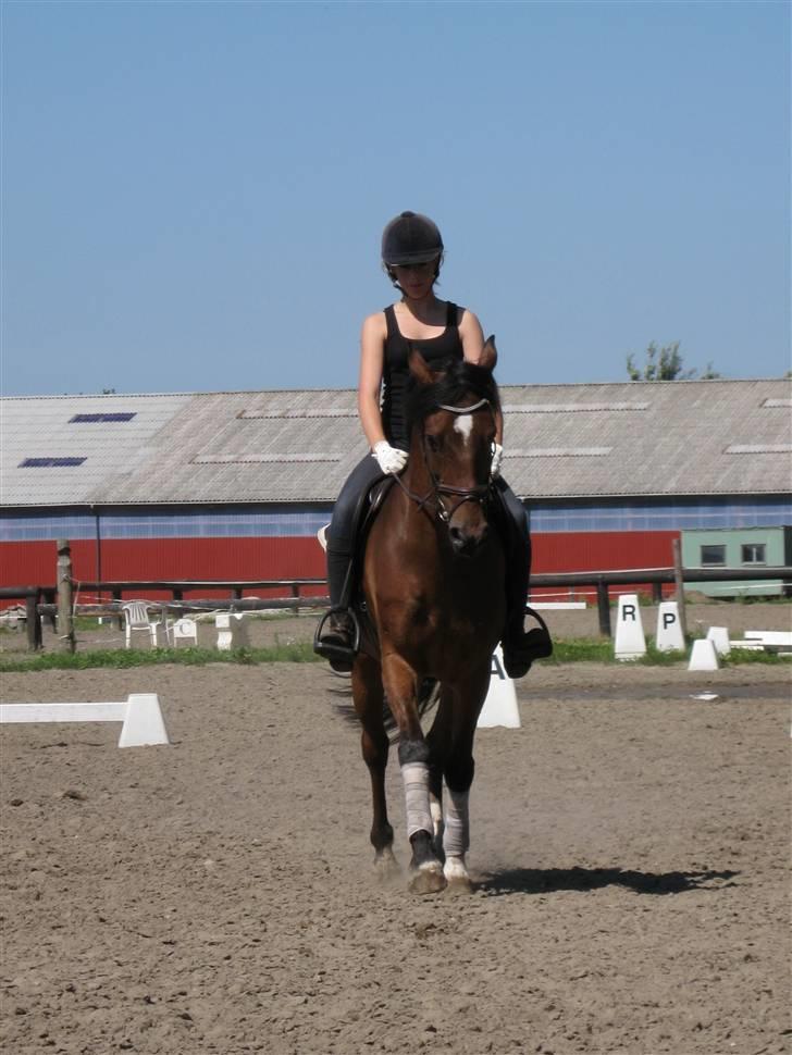 Søborggård Ridelejr Uge 32 billede 39