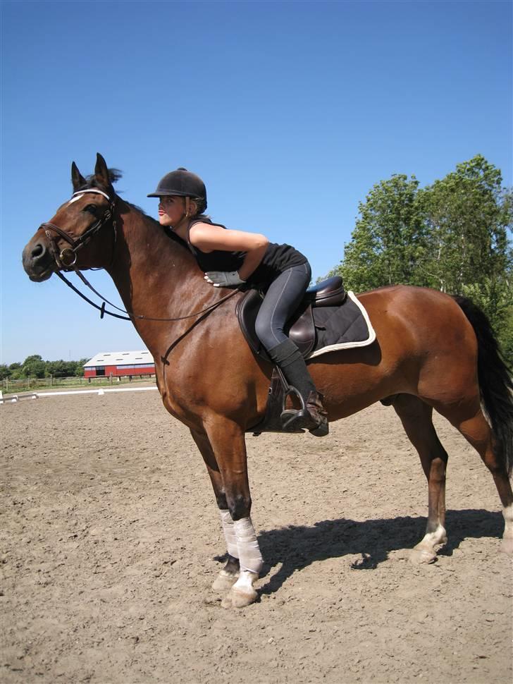 Søborggård Ridelejr Uge 32 billede 42