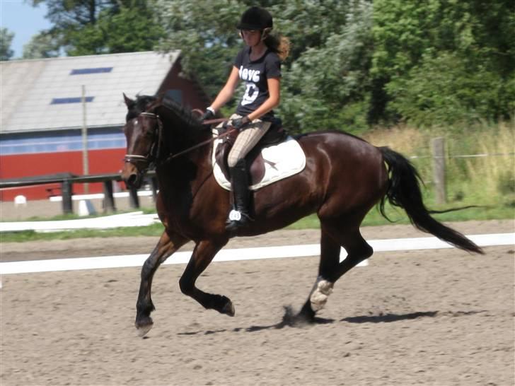 Søborggård Ridelejr Uge 32 billede 43