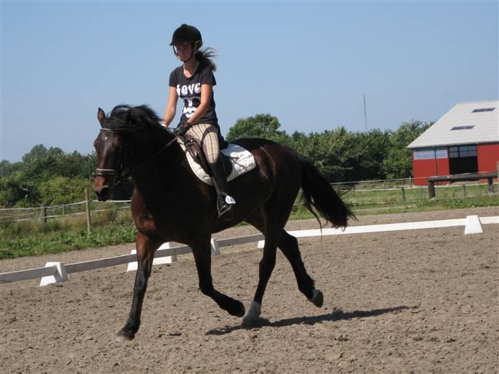 Søborggård Ridelejr Uge 32 billede 44