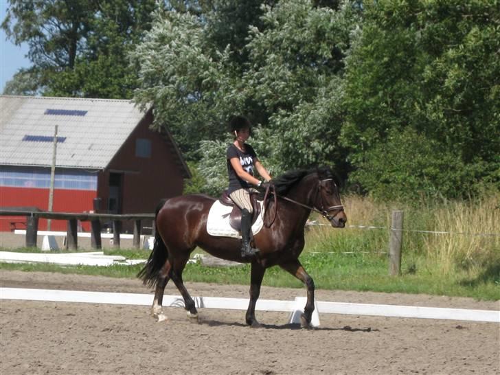 Søborggård Ridelejr Uge 32 billede 45