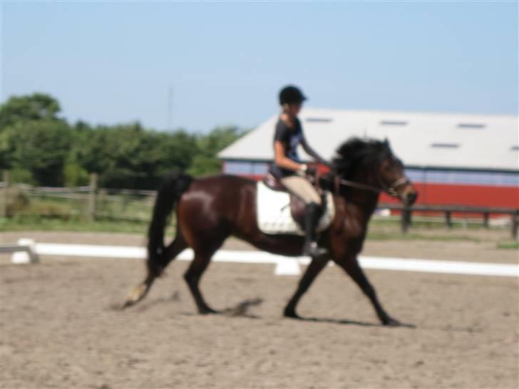 Søborggård Ridelejr Uge 32 billede 46