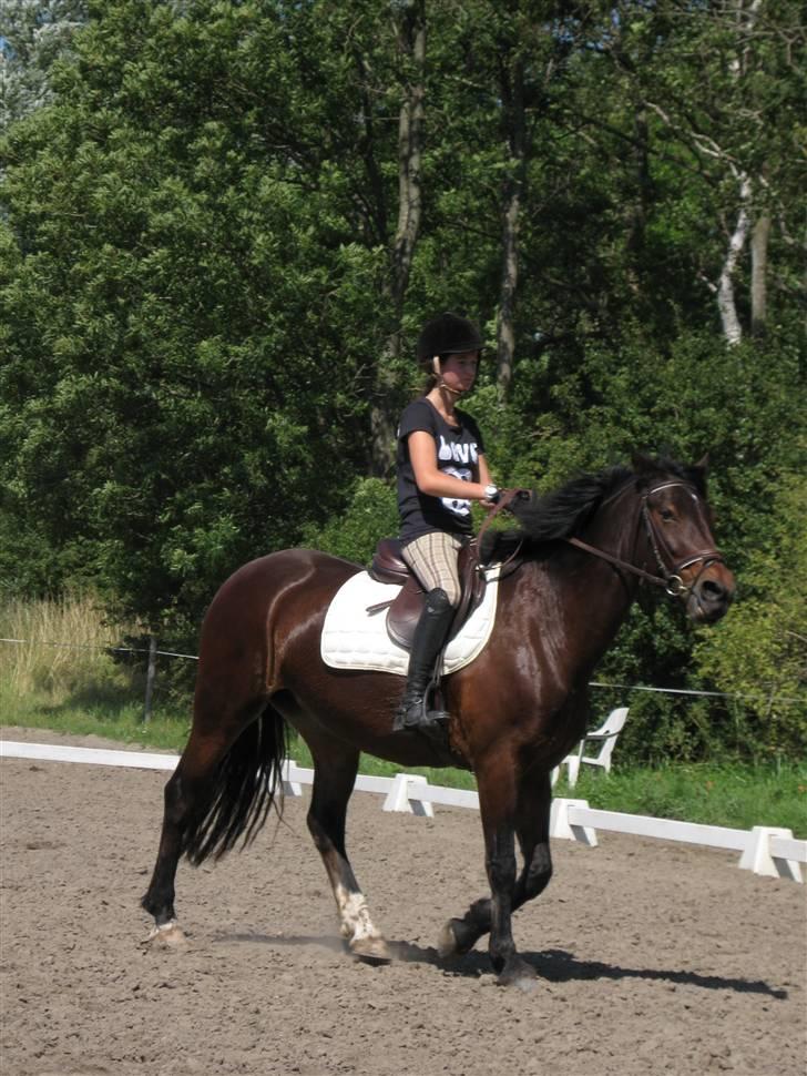 Søborggård Ridelejr Uge 32 billede 47