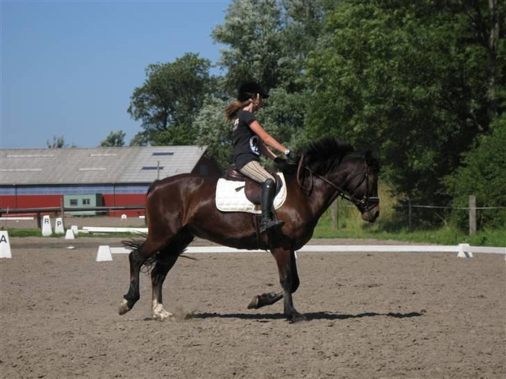 Søborggård Ridelejr Uge 32 billede 48