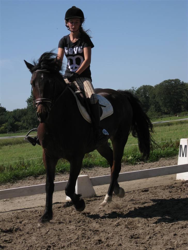Søborggård Ridelejr Uge 32 billede 49