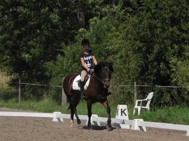 Søborggård Ridelejr Uge 32 billede 50