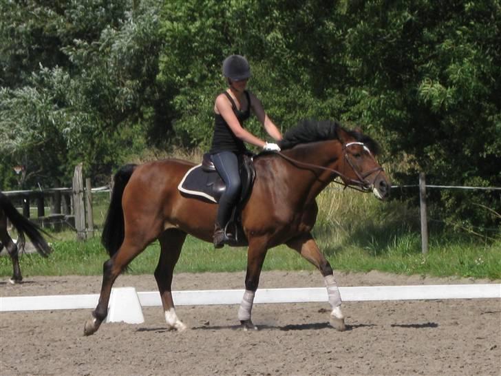 Søborggård Ridelejr Uge 32 billede 51