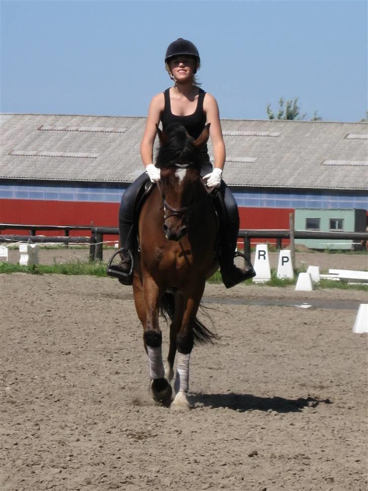 Søborggård Ridelejr Uge 32 billede 52