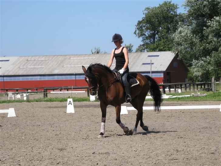 Søborggård Ridelejr Uge 32 billede 54