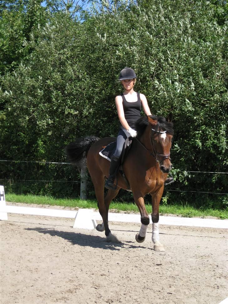 Søborggård Ridelejr Uge 32 billede 57