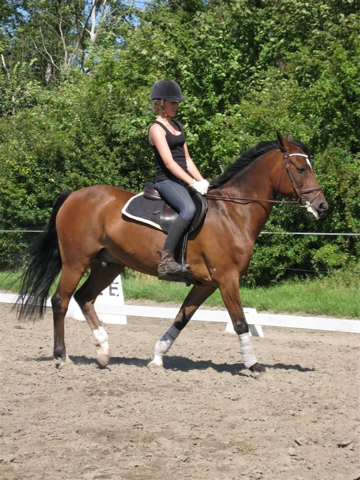 Søborggård Ridelejr Uge 32 billede 58