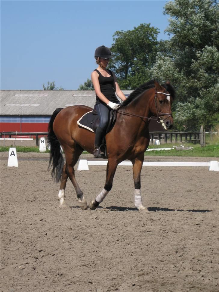 Søborggård Ridelejr Uge 32 billede 59