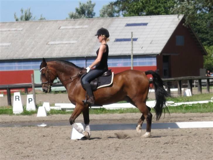 Søborggård Ridelejr Uge 32 billede 60