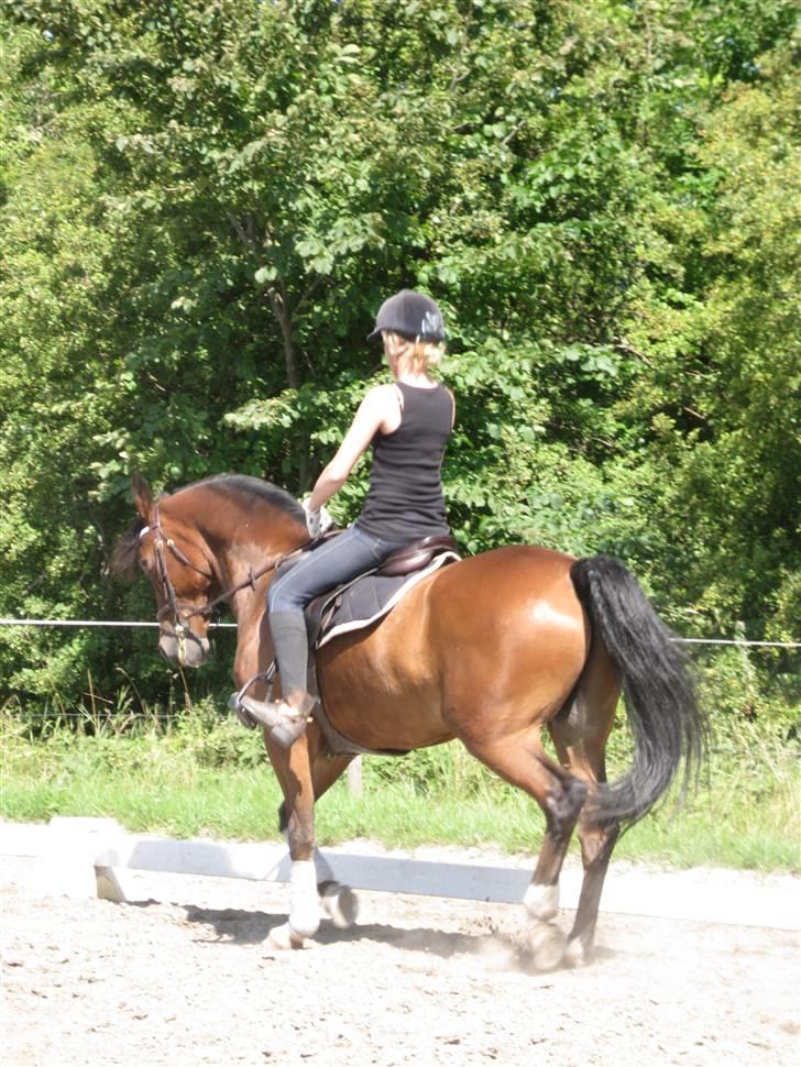 Søborggård Ridelejr Uge 32 billede 61