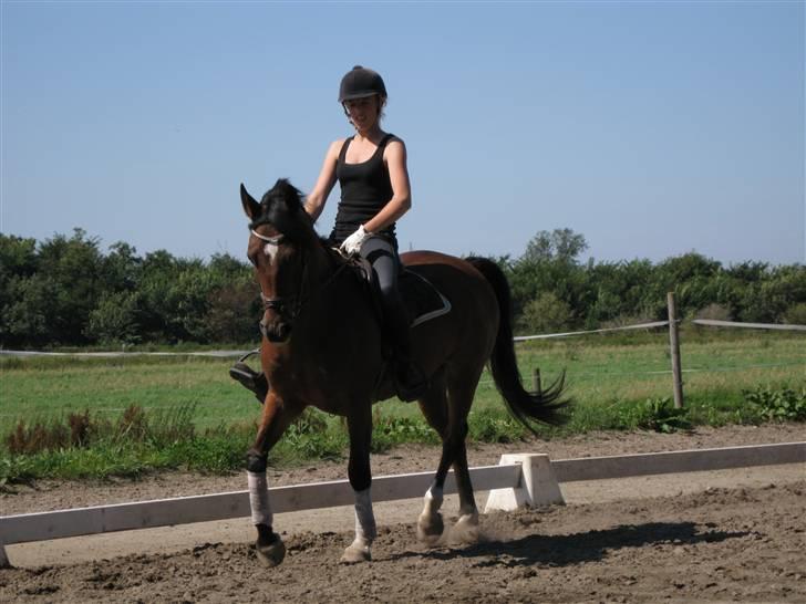 Søborggård Ridelejr Uge 32 billede 62