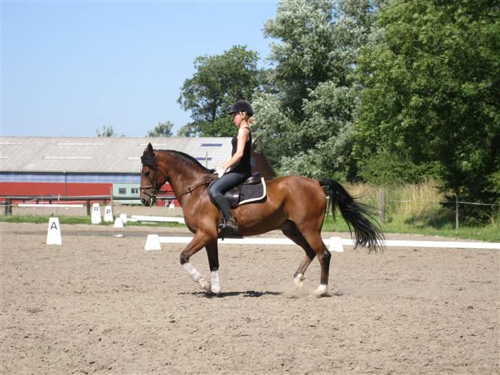 Søborggård Ridelejr Uge 32 billede 63