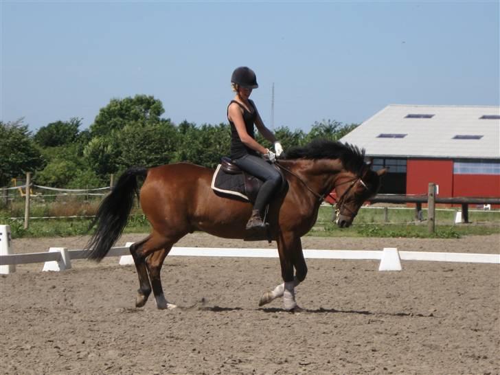 Søborggård Ridelejr Uge 32 billede 64