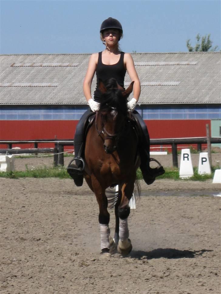 Søborggård Ridelejr Uge 32 billede 66