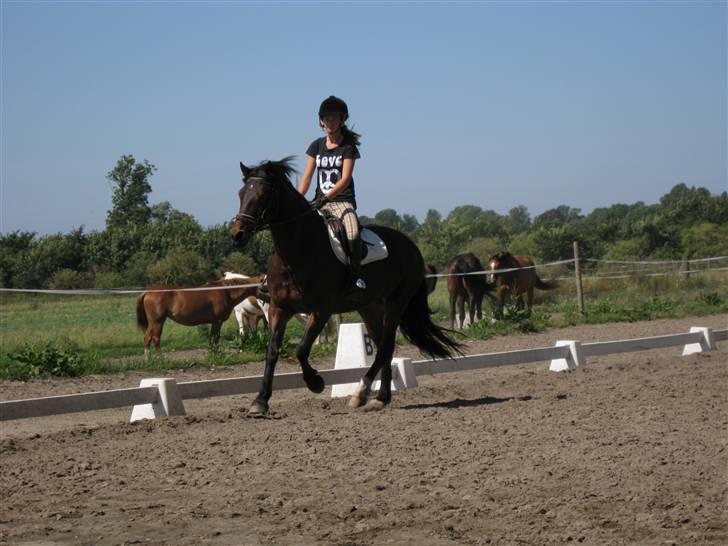 Søborggård Ridelejr Uge 32 billede 67