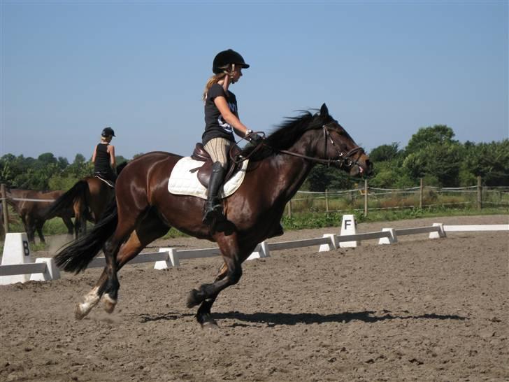 Søborggård Ridelejr Uge 32 billede 68