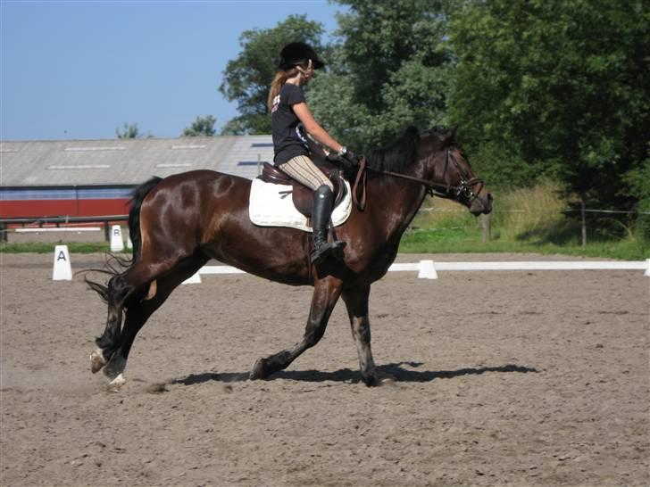 Søborggård Ridelejr Uge 32 billede 69