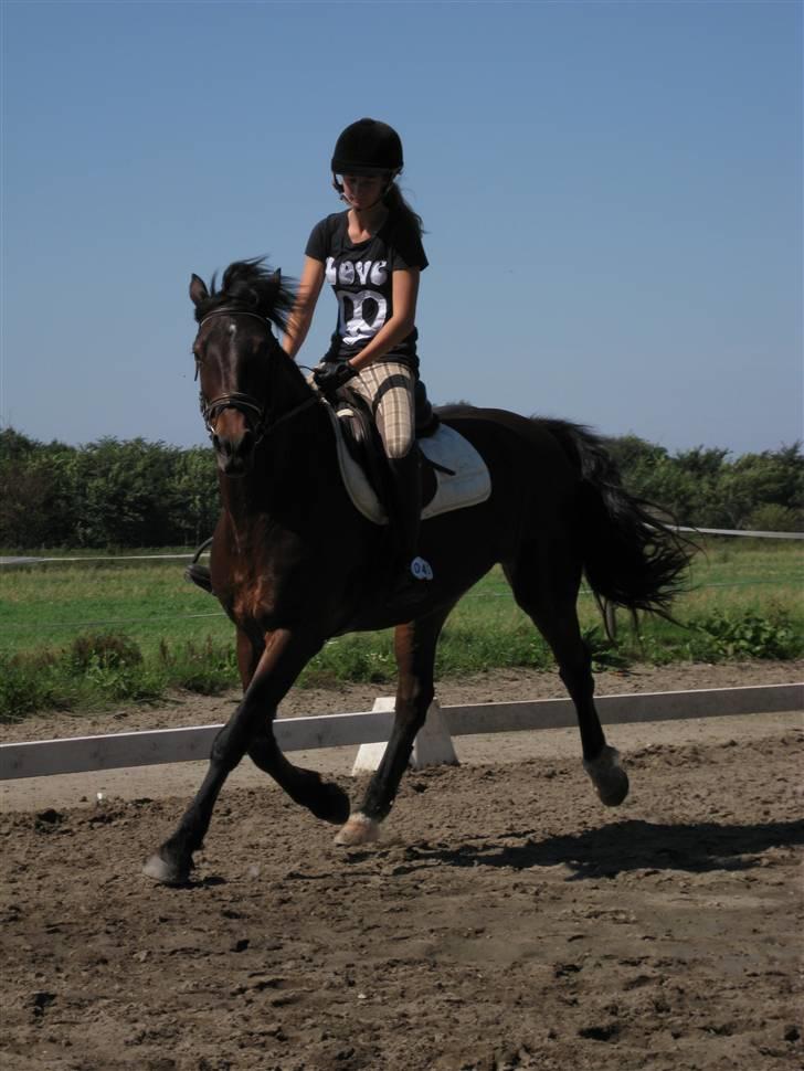 Søborggård Ridelejr Uge 32 billede 70