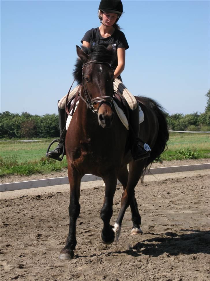 Søborggård Ridelejr Uge 32 billede 71