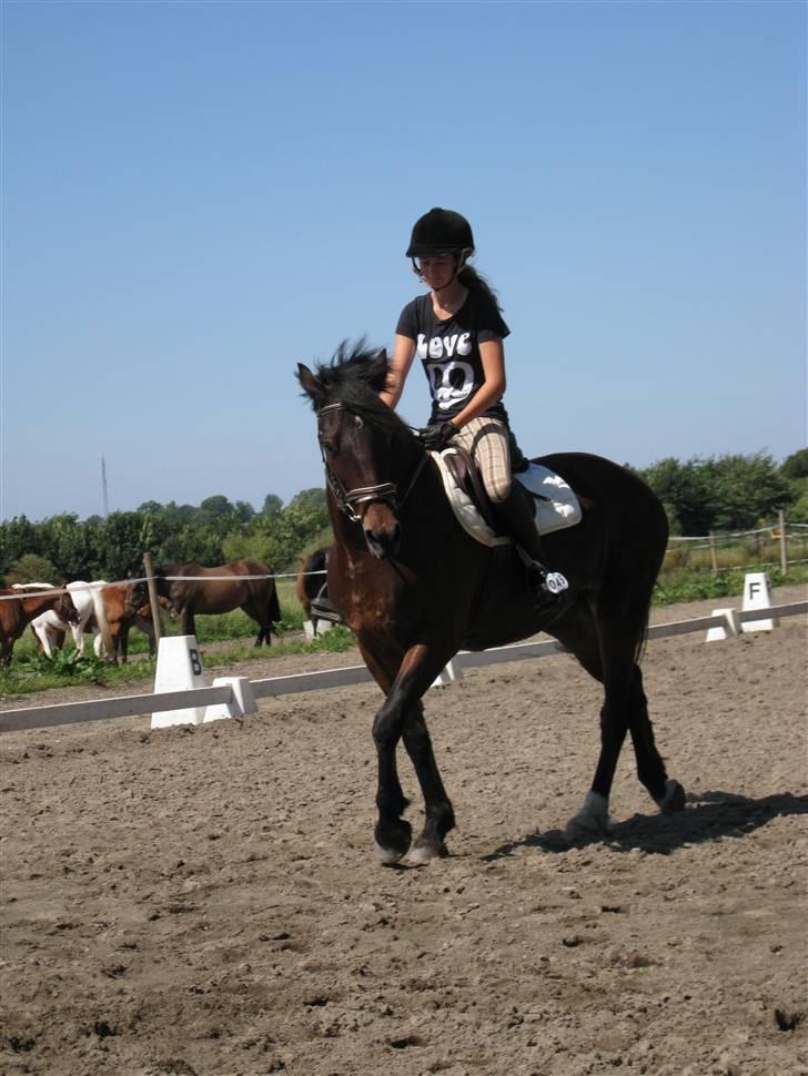 Søborggård Ridelejr Uge 32 billede 72
