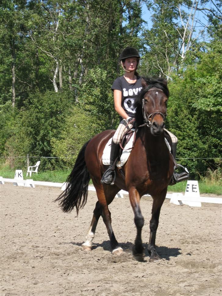 Søborggård Ridelejr Uge 32 billede 73