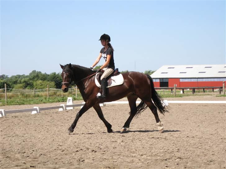 Søborggård Ridelejr Uge 32 billede 76