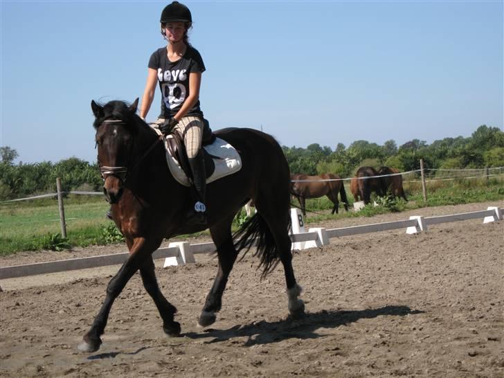 Søborggård Ridelejr Uge 32 billede 77