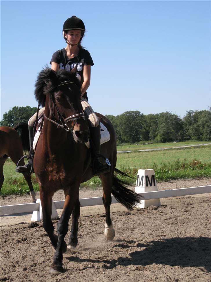 Søborggård Ridelejr Uge 32 billede 78