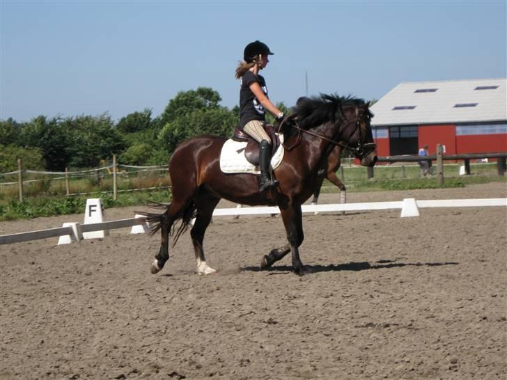 Søborggård Ridelejr Uge 32 billede 79