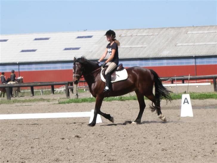 Søborggård Ridelejr Uge 32 billede 80