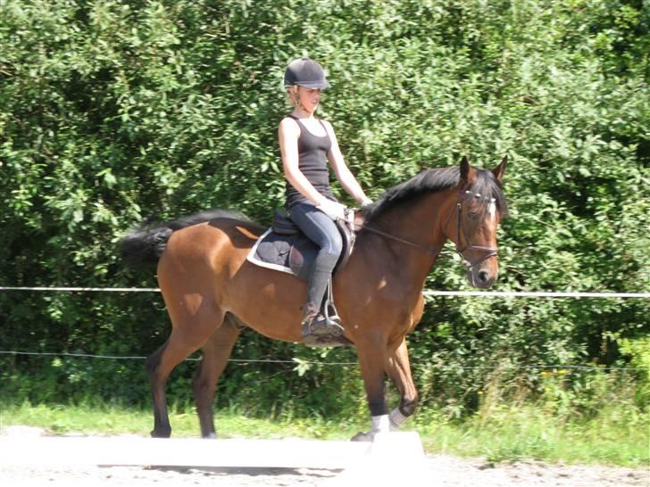 Søborggård Ridelejr Uge 32 billede 81