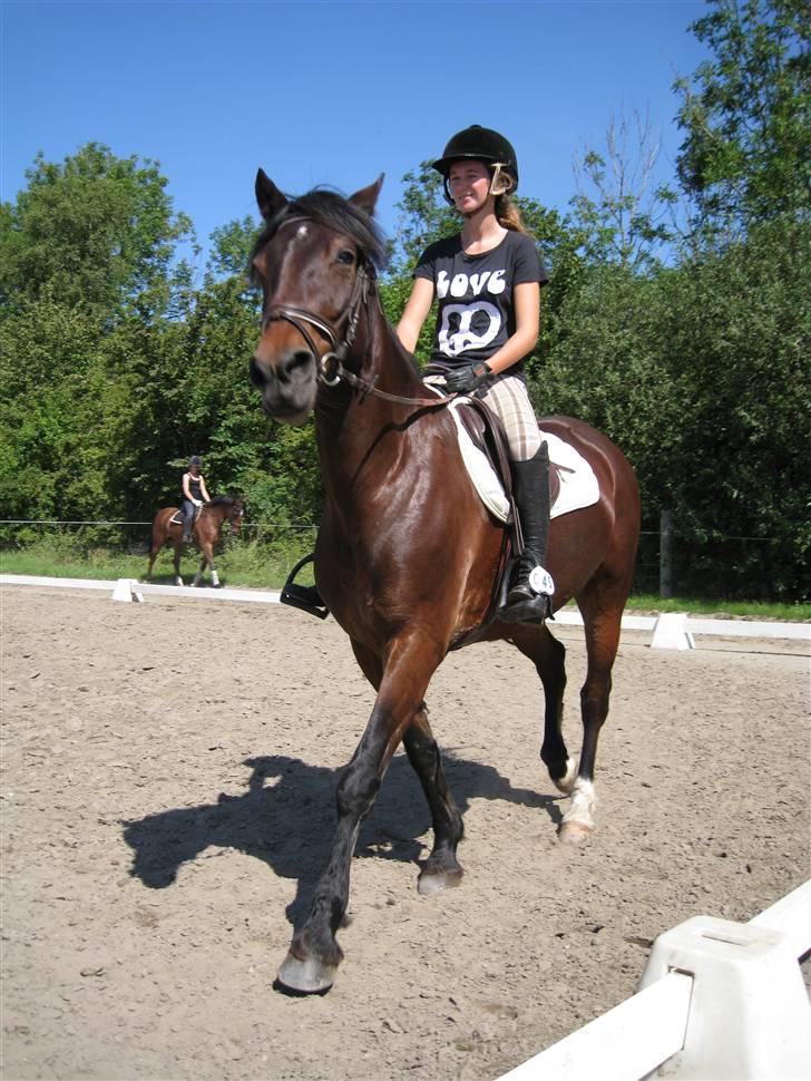 Søborggård Ridelejr Uge 32 billede 82