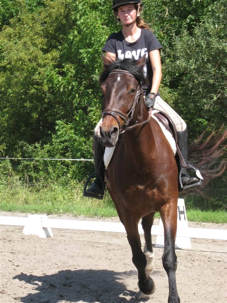 Søborggård Ridelejr Uge 32 billede 83